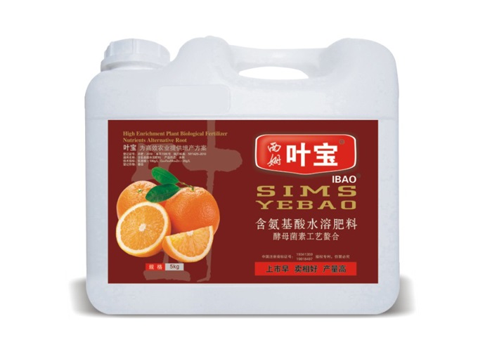 橘子专用.jpg