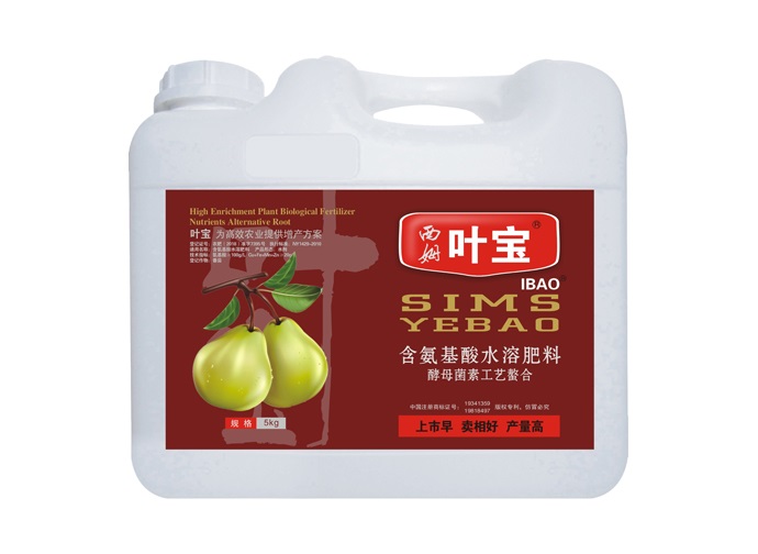 梨专用.jpg