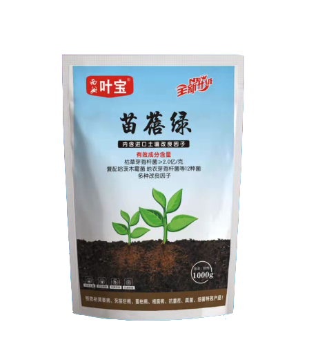 苗蓓绿.png