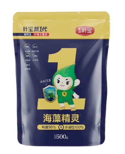 海藻精灵.JPG